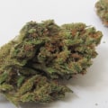 What is super silver haze strain good for?
