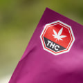 The Hidden Connection Between Consumer Protection Rules and Cannabis Strain Labeling
