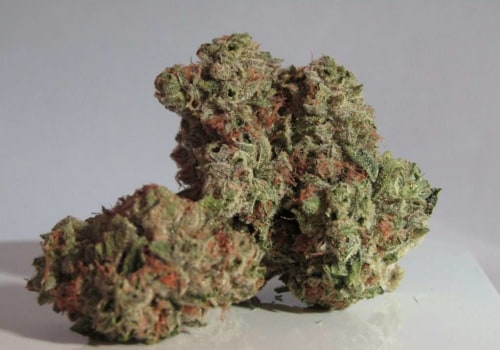 Sativa Vs. Indica: Where Does Delta-9 Fit Into Silver Haze’s Effects In Omaha