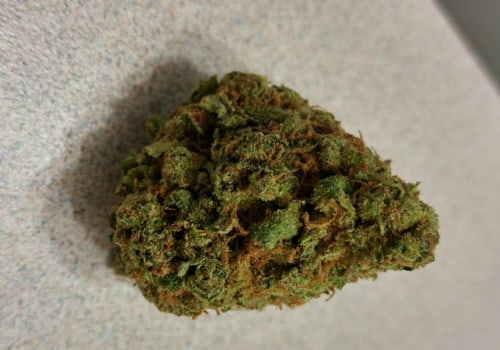 Is silver haze strong?