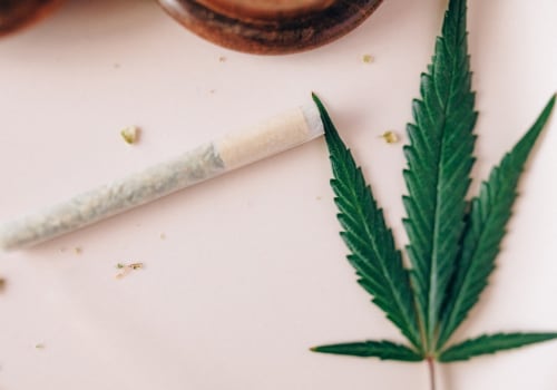 What You Should Know About Silver Haze Indica And Sativa Strains